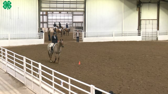Saddleseat & English Equitation_38