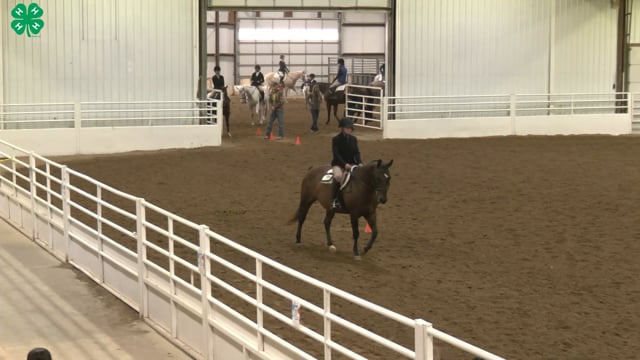 Saddleseat & English Equitation_4
