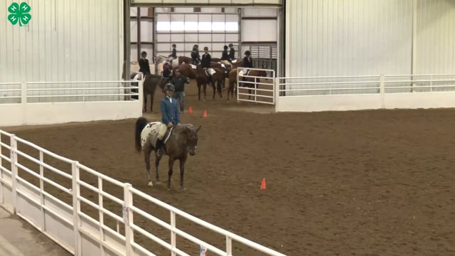 Saddleseat & English Equitation_40