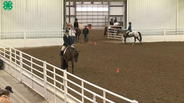 Saddleseat & English Equitation_41