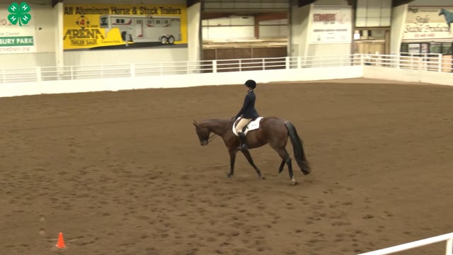 Saddleseat & English Equitation_42