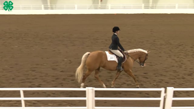 Saddleseat & English Equitation_43