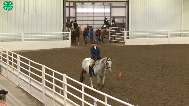 Saddleseat & English Equitation_44