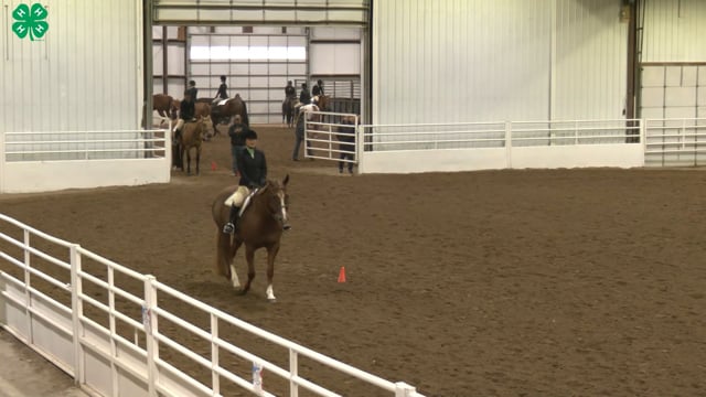 Saddleseat & English Equitation_45
