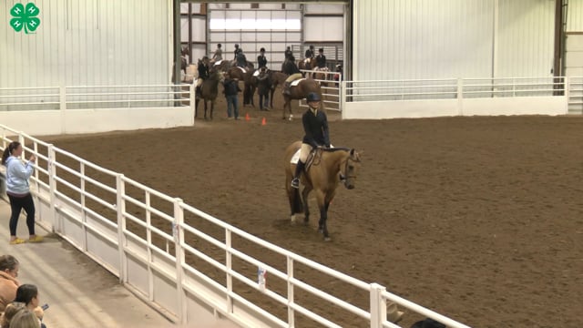 Saddleseat & English Equitation_46