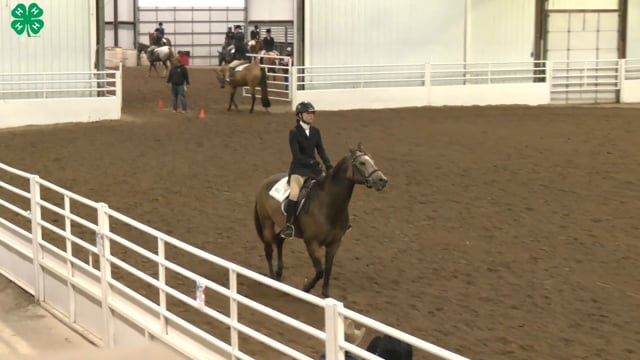 Saddleseat & English Equitation_47