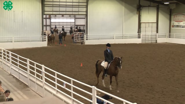 Saddleseat & English Equitation_48