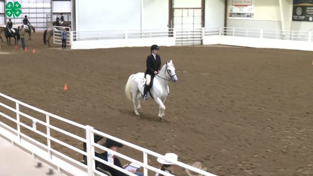 Saddleseat & English Equitation_49