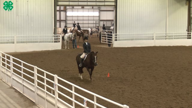 Saddleseat & English Equitation_5