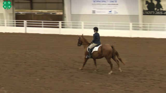 Saddleseat & English Equitation_50