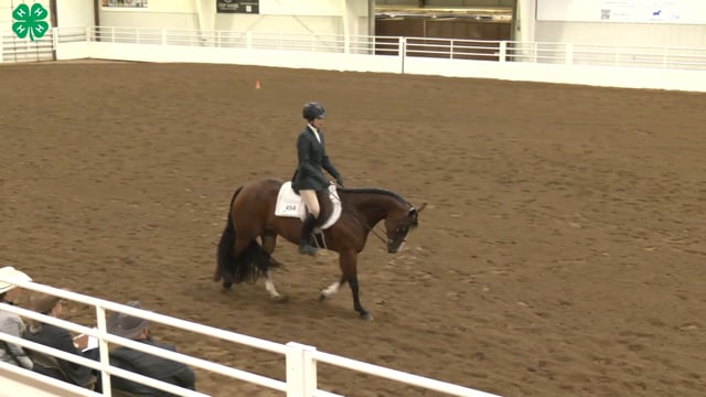 Saddleseat & English Equitation_51