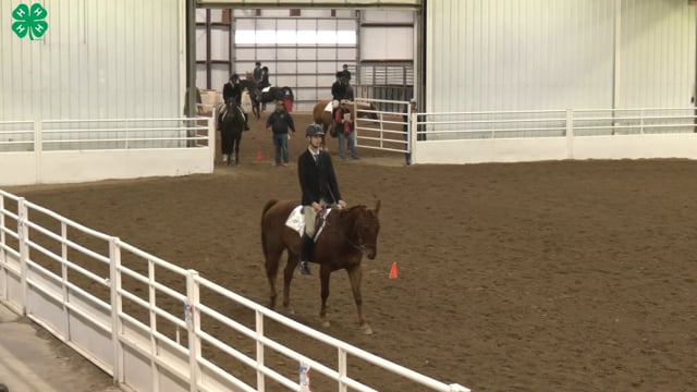 Saddleseat & English Equitation_52