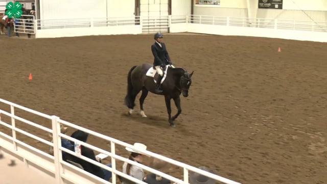 Saddleseat & English Equitation_53