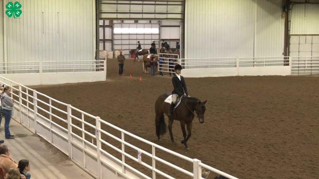 Saddleseat & English Equitation_54