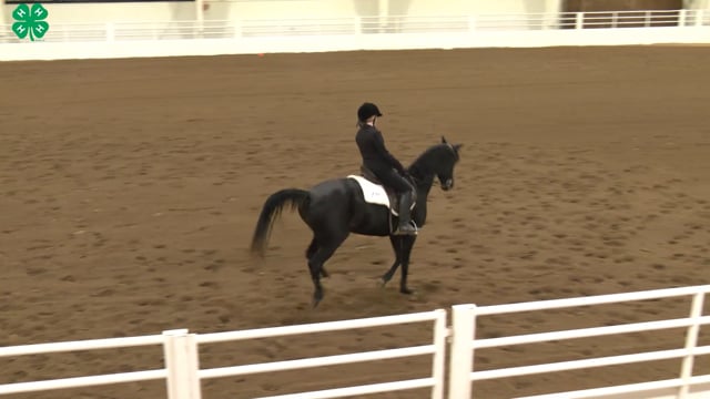 Saddleseat & English Equitation_56