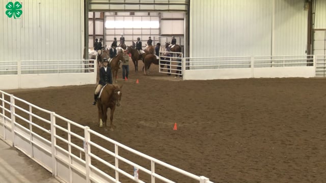 Saddleseat & English Equitation_57
