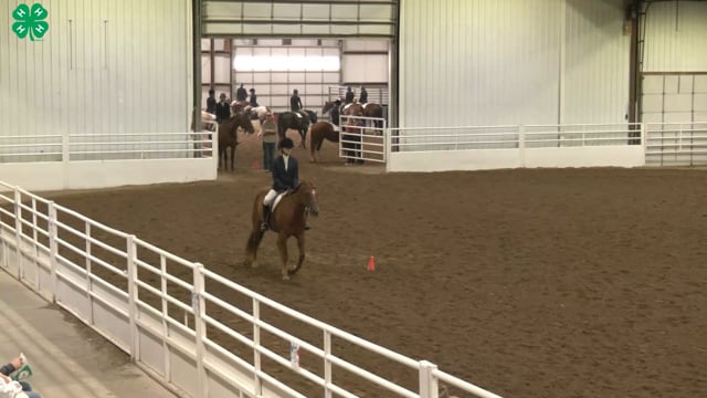 Saddleseat & English Equitation_58