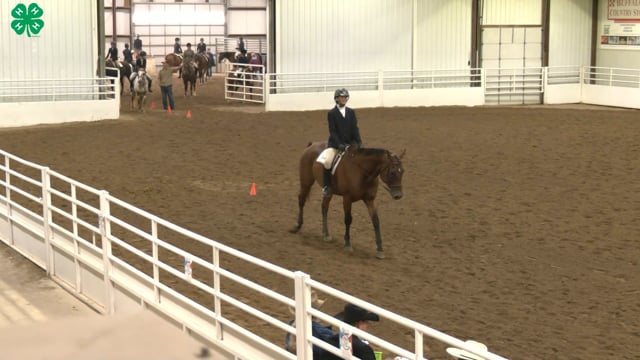 Saddleseat & English Equitation_59