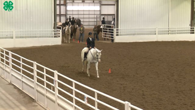 Saddleseat & English Equitation_6