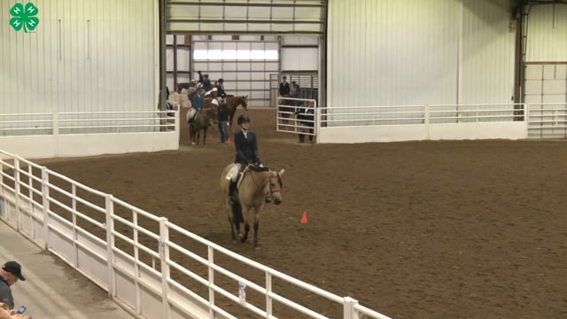 Saddleseat & English Equitation_39