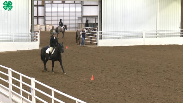 Saddleseat & English Equitation_60