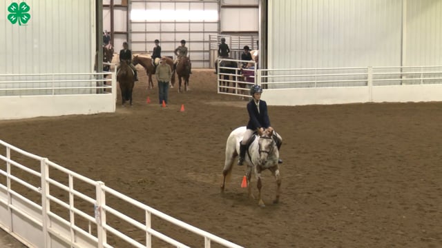 Saddleseat & English Equitation_61