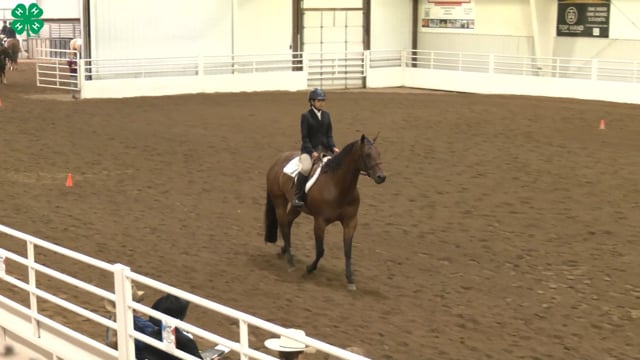 Saddleseat & English Equitation_62