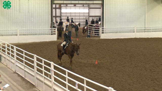 Saddleseat & English Equitation_65
