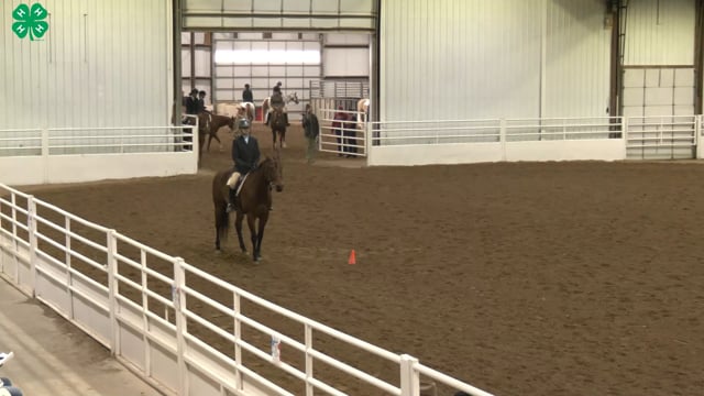 Saddleseat & English Equitation_64