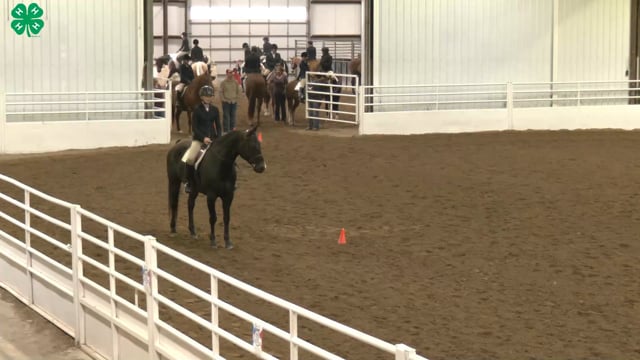 Saddleseat & English Equitation_67