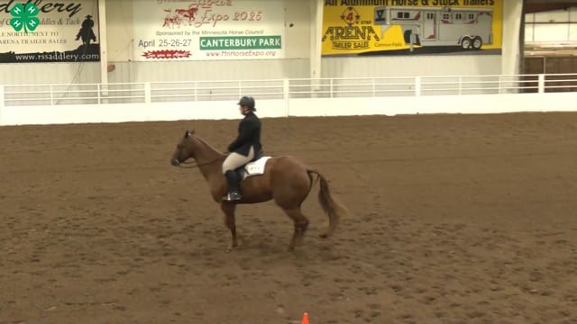 Saddleseat & English Equitation_69