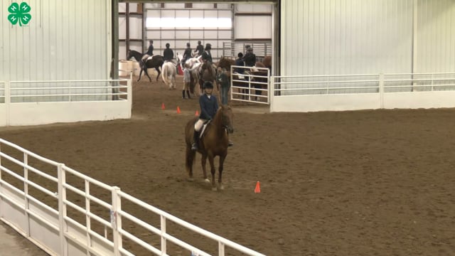 Saddleseat & English Equitation_68