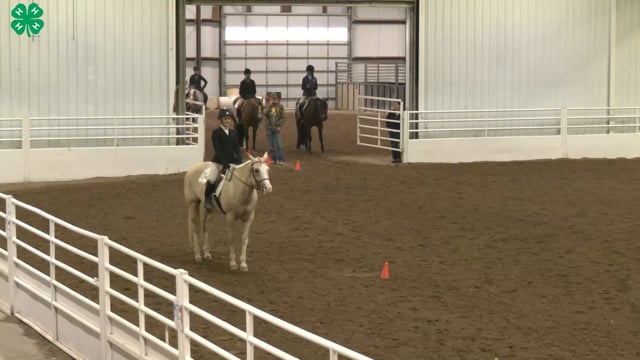 Saddleseat & English Equitation_7
