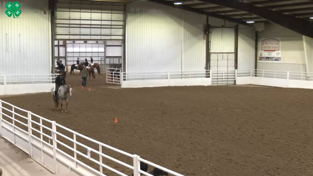 Saddleseat & English Equitation_71