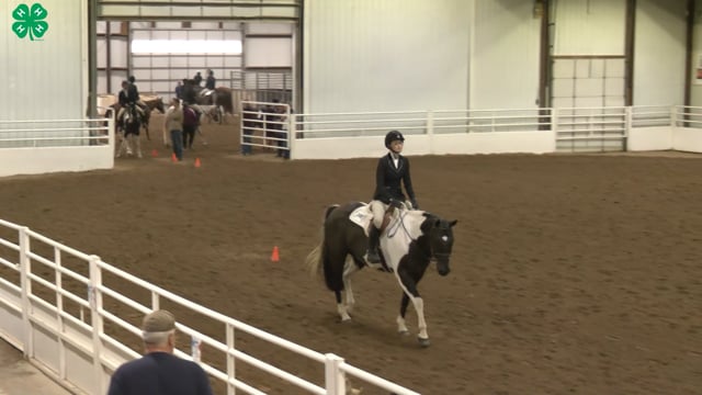 Saddleseat & English Equitation_72