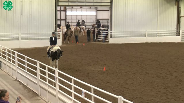 Saddleseat & English Equitation_73