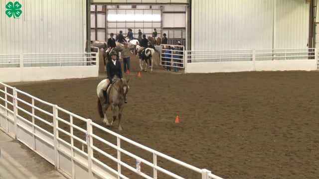 Saddleseat & English Equitation_74