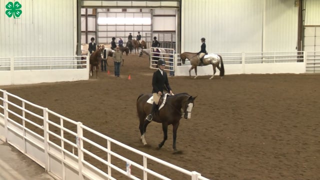 Saddleseat & English Equitation_75