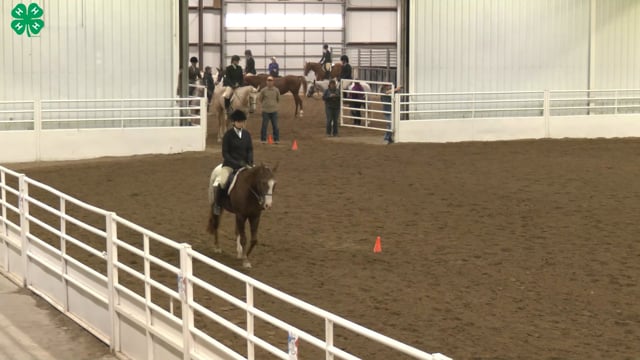 Saddleseat & English Equitation_77