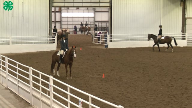 Saddleseat & English Equitation_76
