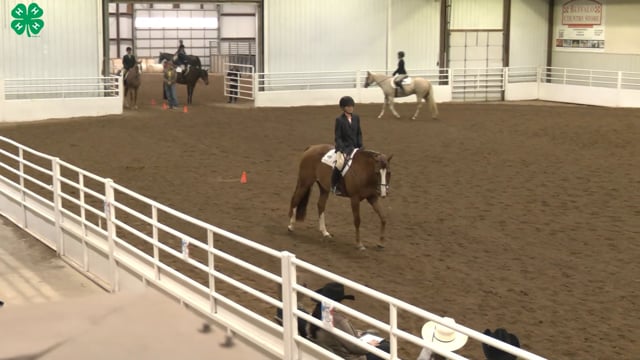 Saddleseat & English Equitation_8