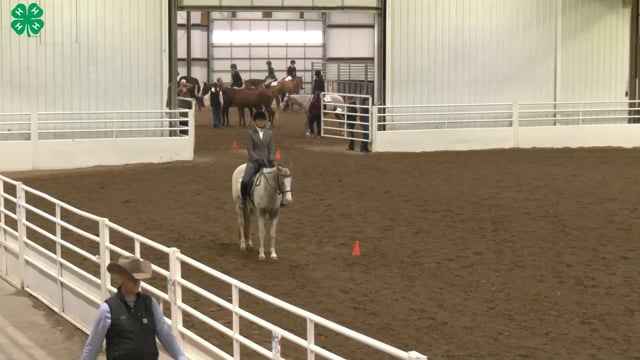 Saddleseat & English Equitation_79