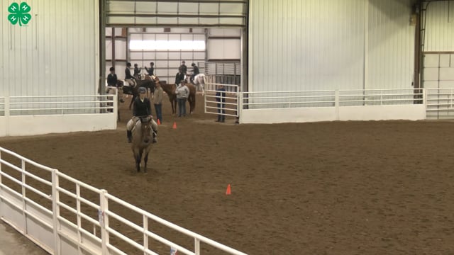 Saddleseat & English Equitation_80