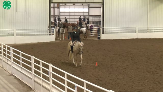 Saddleseat & English Equitation_78