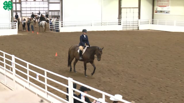 Saddleseat & English Equitation_82