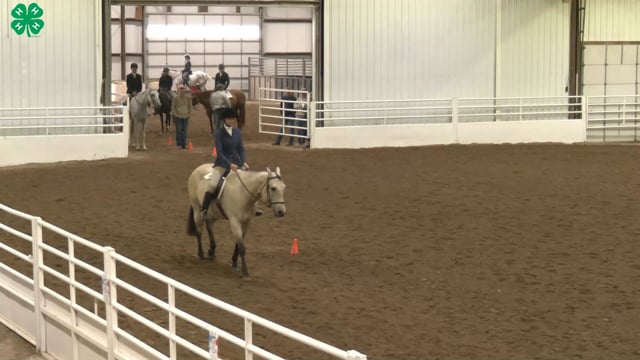 Saddleseat & English Equitation_81