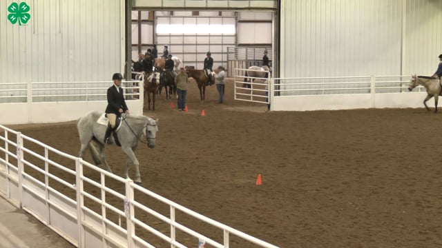 Saddleseat & English Equitation_83