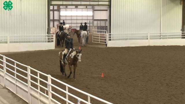 Saddleseat & English Equitation_84