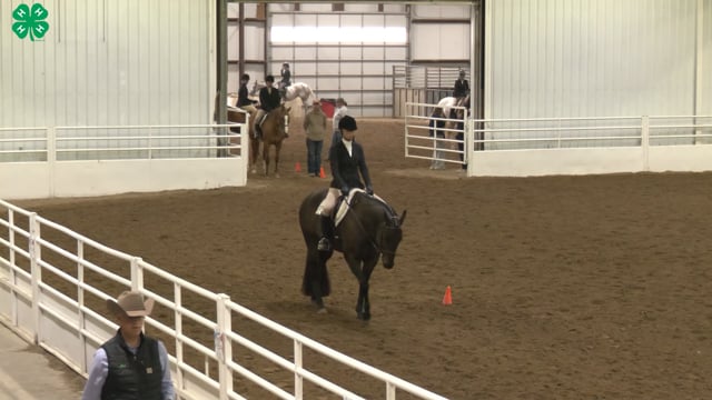 Saddleseat & English Equitation_85