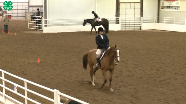 Saddleseat & English Equitation_86